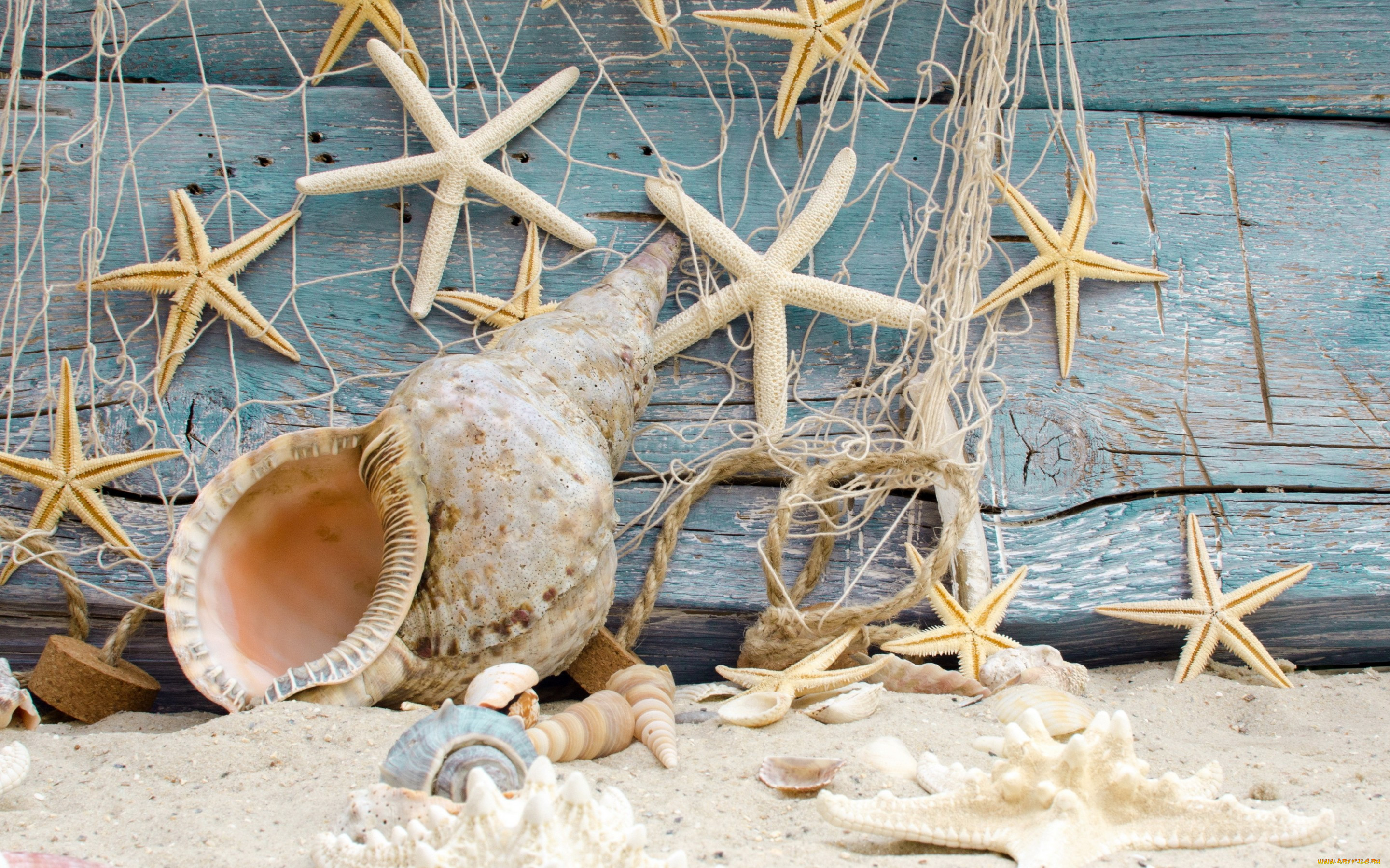, ,  ,    spa-, , wood, marine, sand, beach, starfishes, seashells, , 